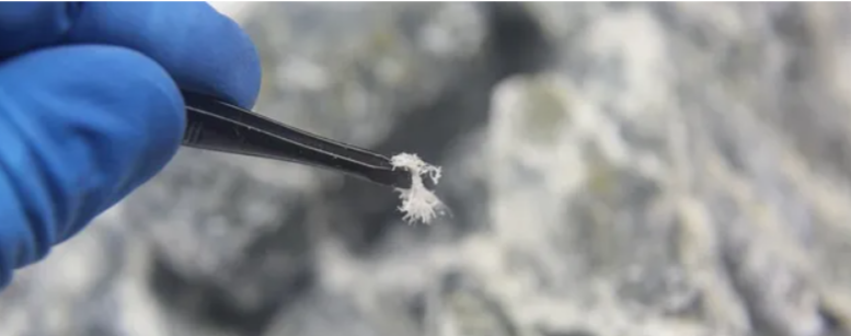 Reliable Asbestos Test for Roofing, Flooring, and Insulation Materials